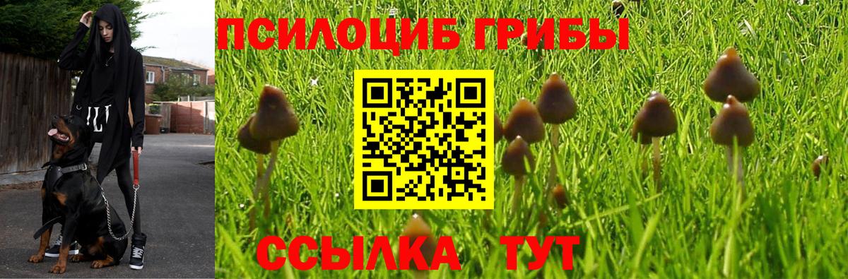 Комсомольск-на-Амуре  Галлюциногенные грибы мухоморы  Вход с VPN 